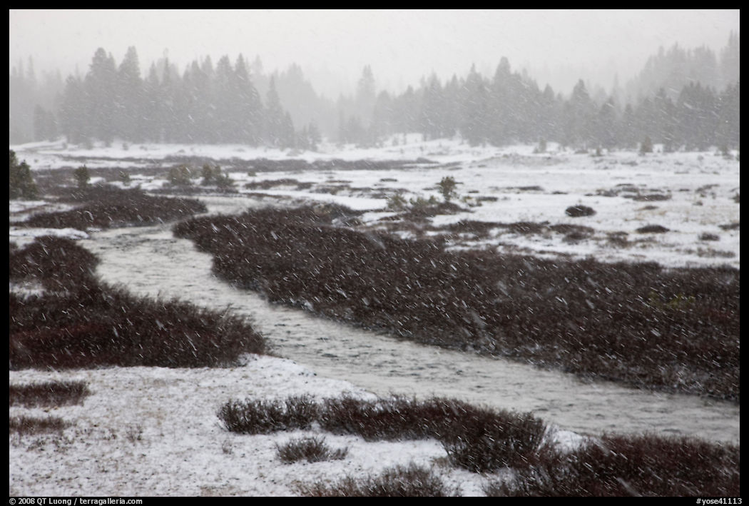 Falling snow streaks, river and meadow. Yosemite National Park