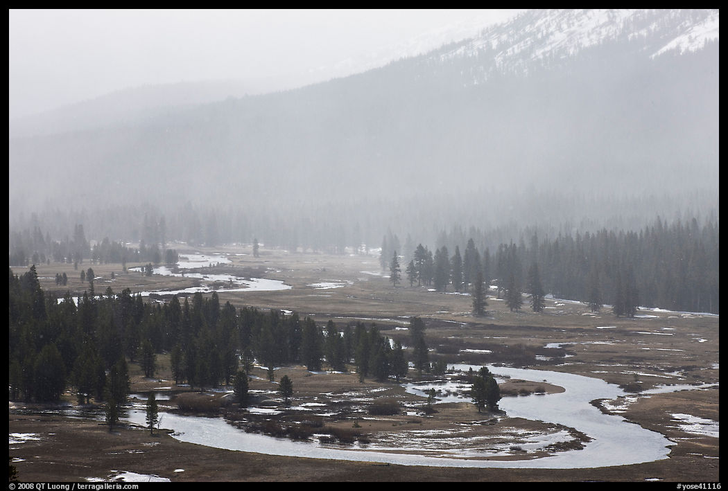Seasonal ponds and fog, Tuolumne Meadows. Yosemite National Park