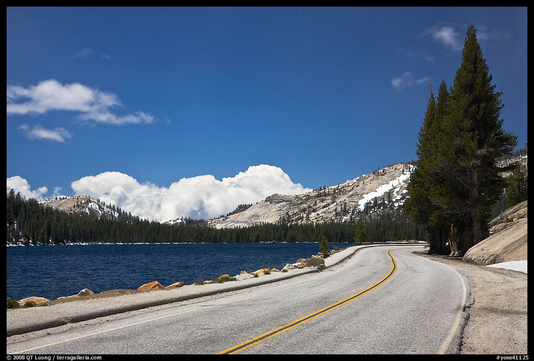 Highway hugging shore of Tenaya Lake. Yosemite National Park