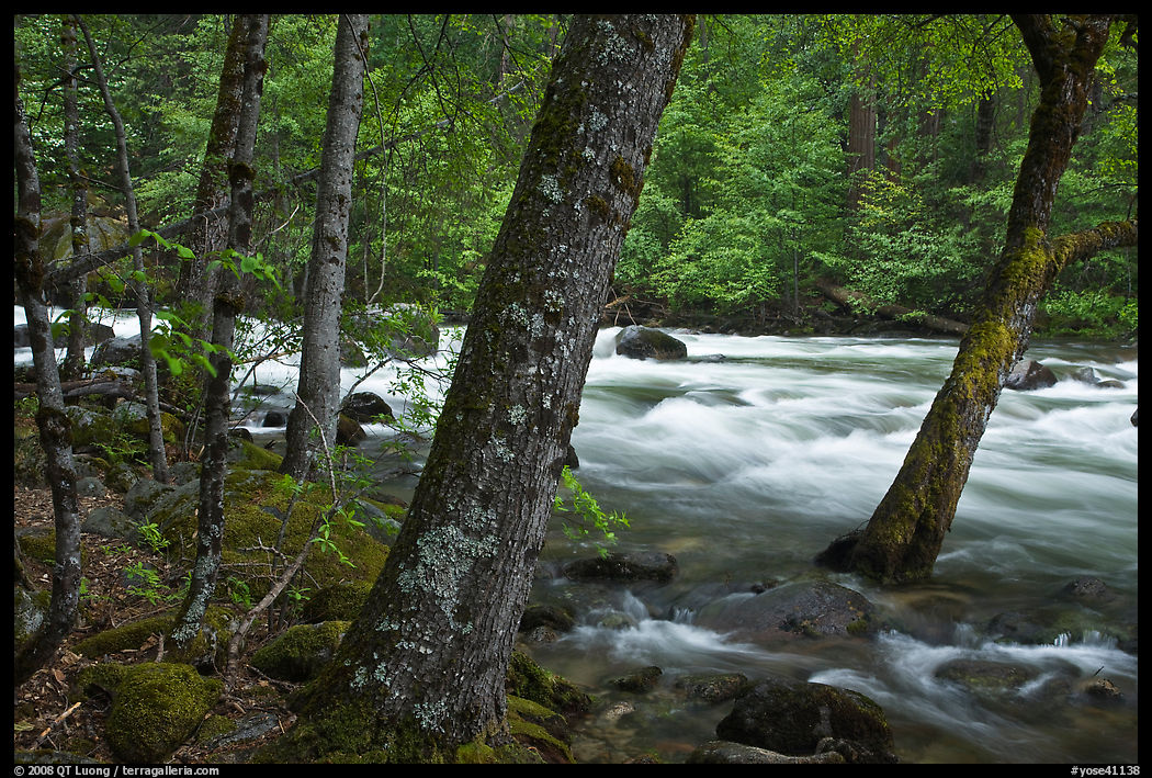Merced River in the Spring, Happy Isles. Yosemite National Park