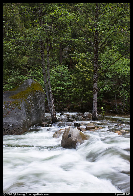 Merced River cascades, boulder, and trees, Happy Isles. Yosemite National Park