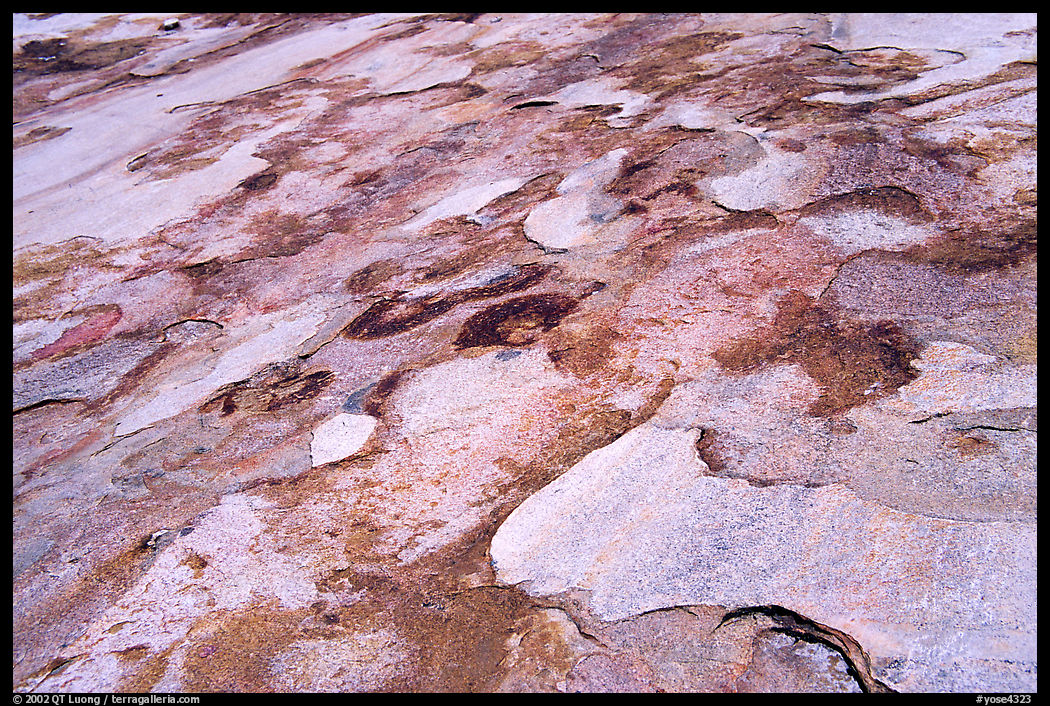 Eroded granite slabs, Canyon of the Tuolumne. Yosemite National Park