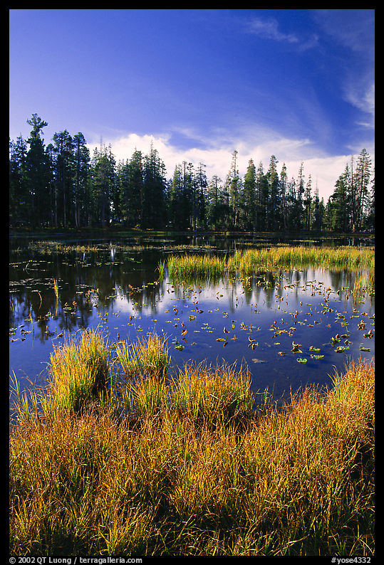 Siesta Lake, autumn afternoon. Yosemite National Park