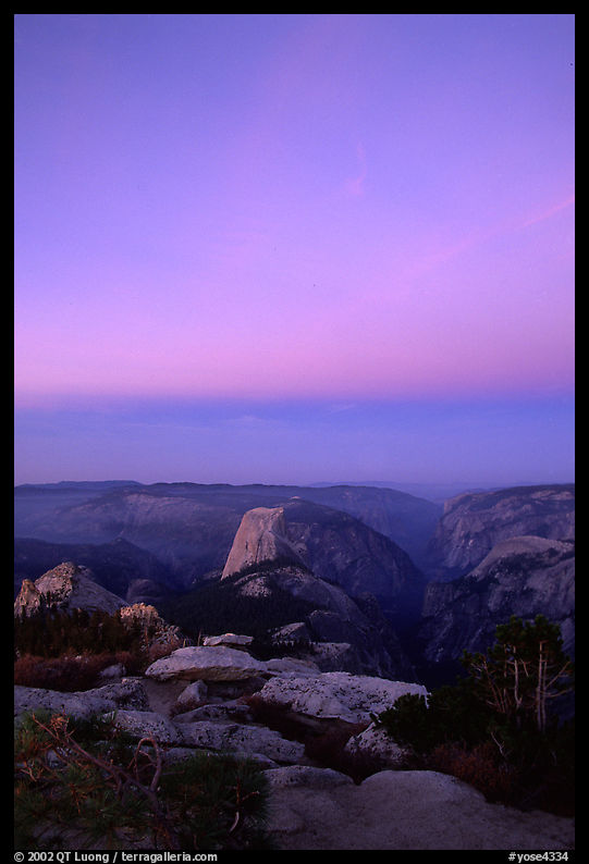 Half-Dome and Yosemite Valley under  pink hues of dawn sky. Yosemite National Park