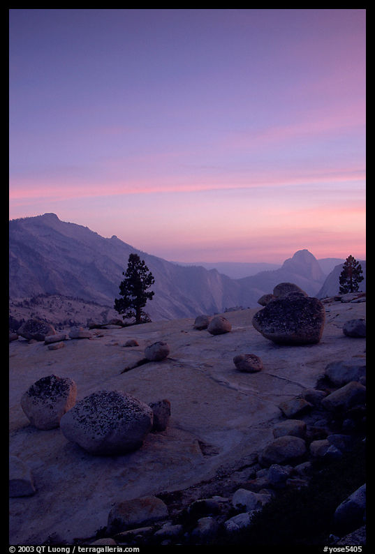 Glacial erratics, pine trees, Clouds rest and Half-Dome from Olmstedt Point, sunset. Yosemite National Park