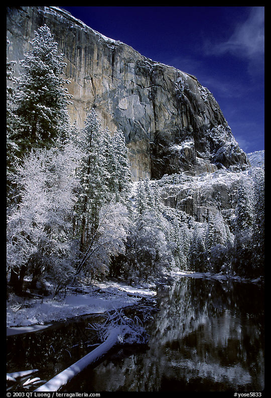 East Face of El Capitan and Merced River in winter. Yosemite National Park, California, USA.