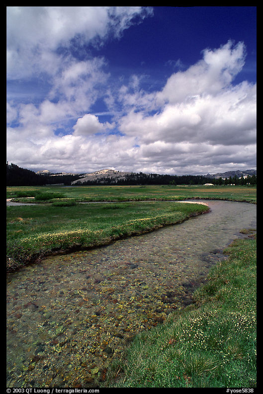 Stream in Tuolumne Meadows. Yosemite National Park, California, USA.