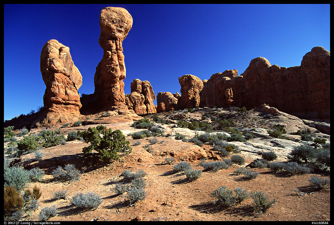 Garden of the Eden, a cluster of pinnacles and monoliths. Arches National Park