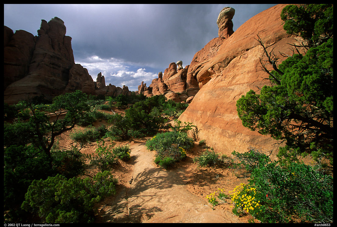 Sandy wash and rocks, Klondike Bluffs. Arches National Park, Utah, USA.