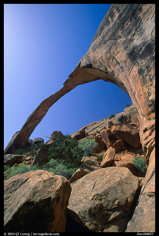 Landscape Arch, morning. Arches National Park, Utah, USA.