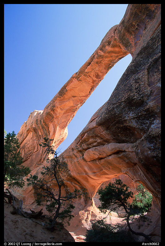 Double O Arch, afternoon. Arches National Park, Utah, USA.