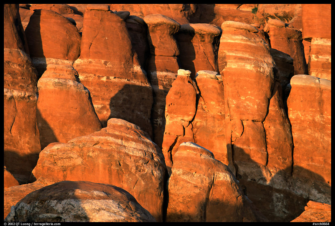 Sandstone fins at Fiery Furnace, sunset. Arches National Park, Utah, USA.