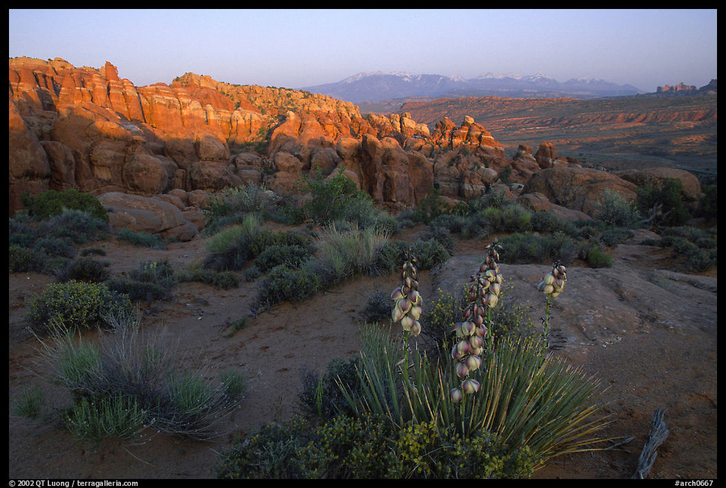 Fiery Furnace, and La Sal Mountains, dusk. Arches National Park, Utah, USA.