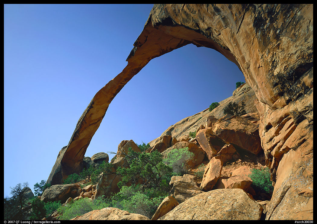 Landscape Arch, morning. Arches National Park, Utah, USA.