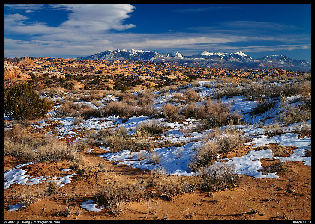 Petrified dunes, ancient dunes turned to slickrock, and La Sal mountains, winter afternoon. Arches National Park