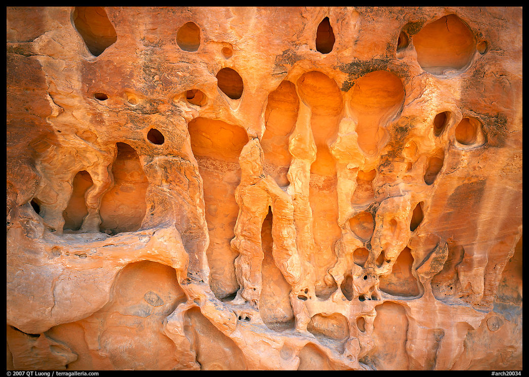 Holes in sandstone wall near Navajo Arch. Arches National Park