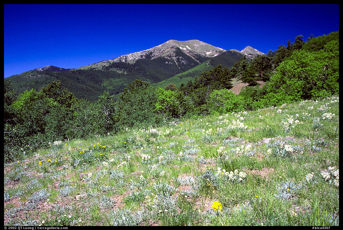 Meadow and distant peak, Mesa inclinado, North rim. Black Canyon of the Gunnison National Park, Colorado, USA.