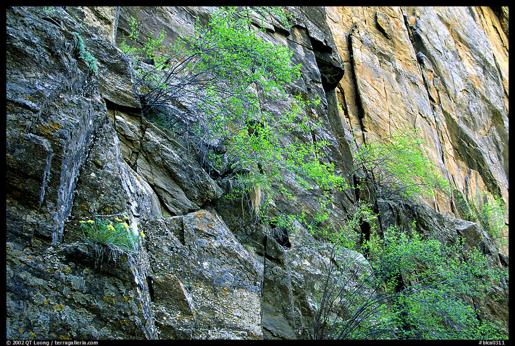 Side canyon wall. Black Canyon of the Gunnison National Park