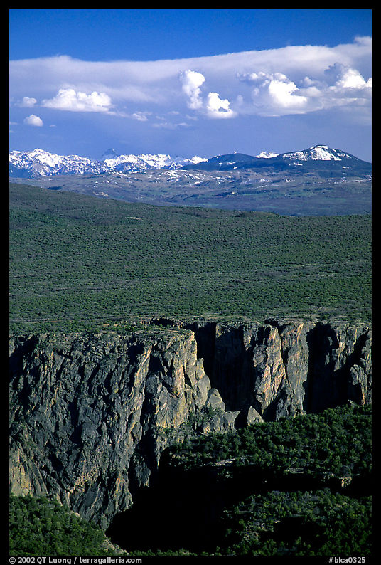 canyon from  North vista trail. Black Canyon of the Gunnison National Park, Colorado, USA.
