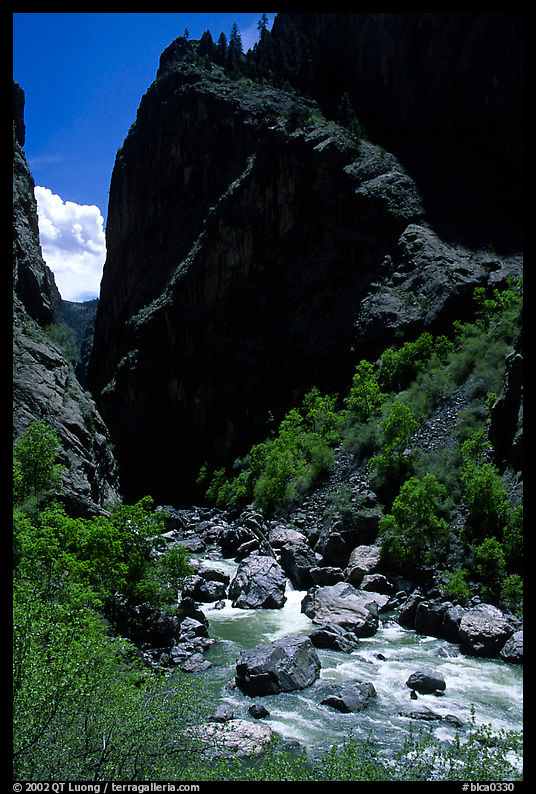 Gunisson river near the Narrows. Black Canyon of the Gunnison National Park, Colorado, USA.