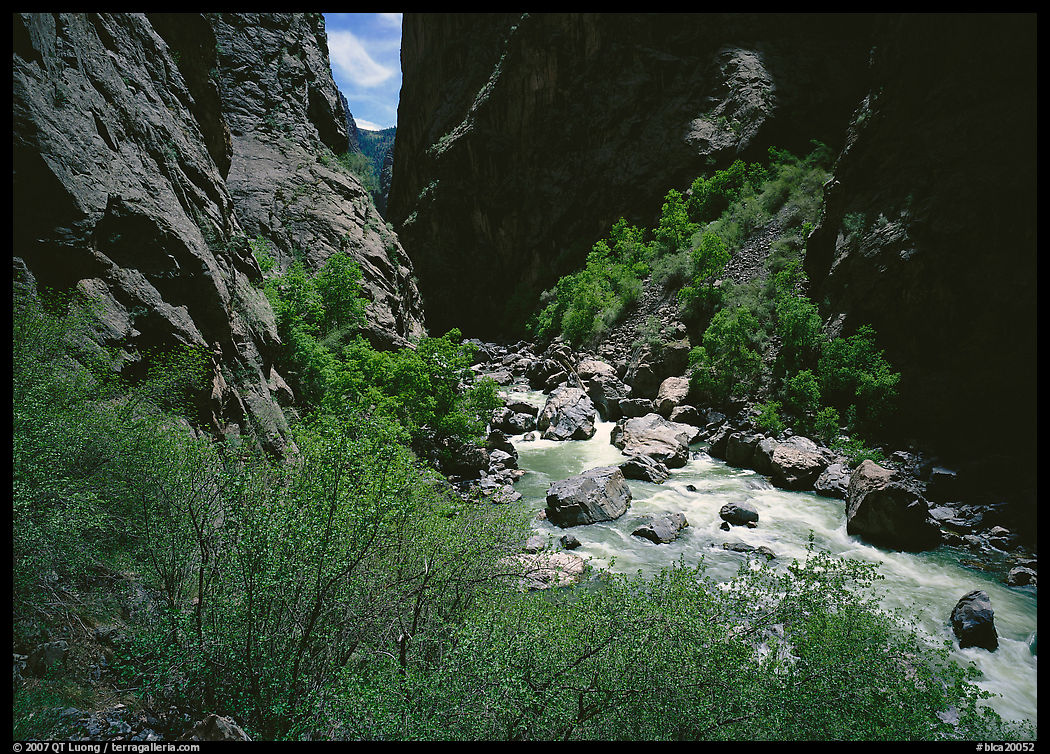 Gunisson River in narrow gorge in spring. Black Canyon of the Gunnison National Park, Colorado, USA.