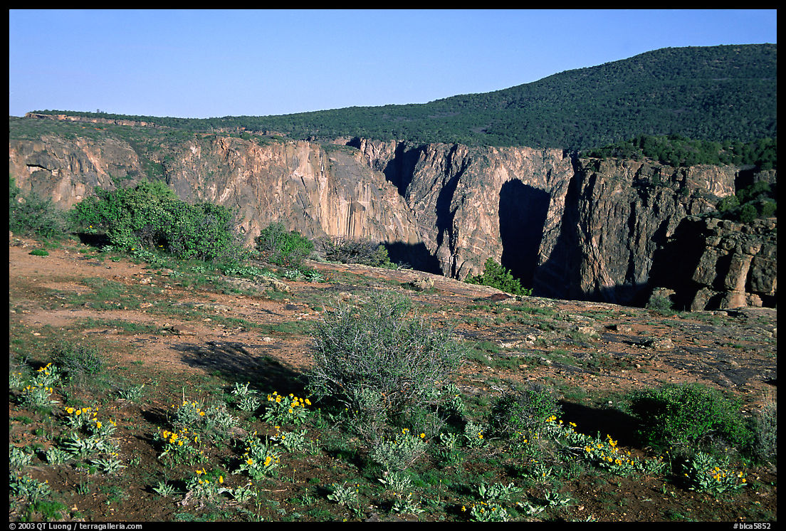 Plateau and gorge. Black Canyon of the Gunnison National Park, Colorado, USA.