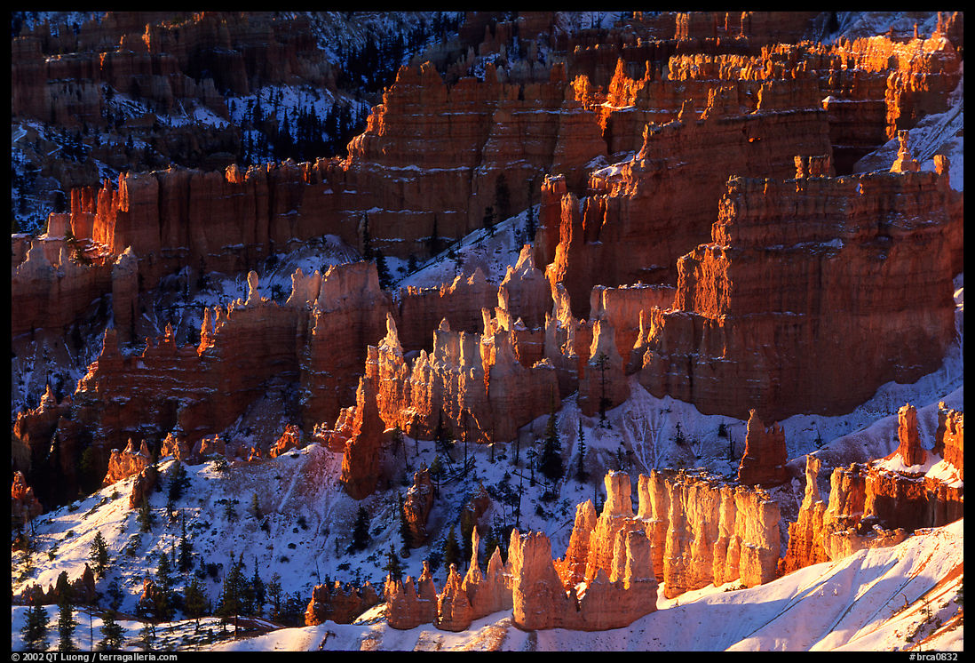 Shadows and lights, Bryce Amphitheater from Sunrise Point, morning. Bryce Canyon National Park