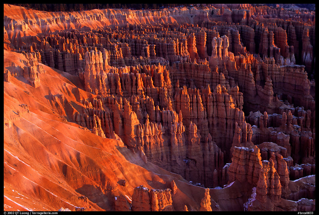 Silent City dense cluster of hoodoos from Bryce Point, sunrise. Bryce Canyon National Park, Utah, USA.