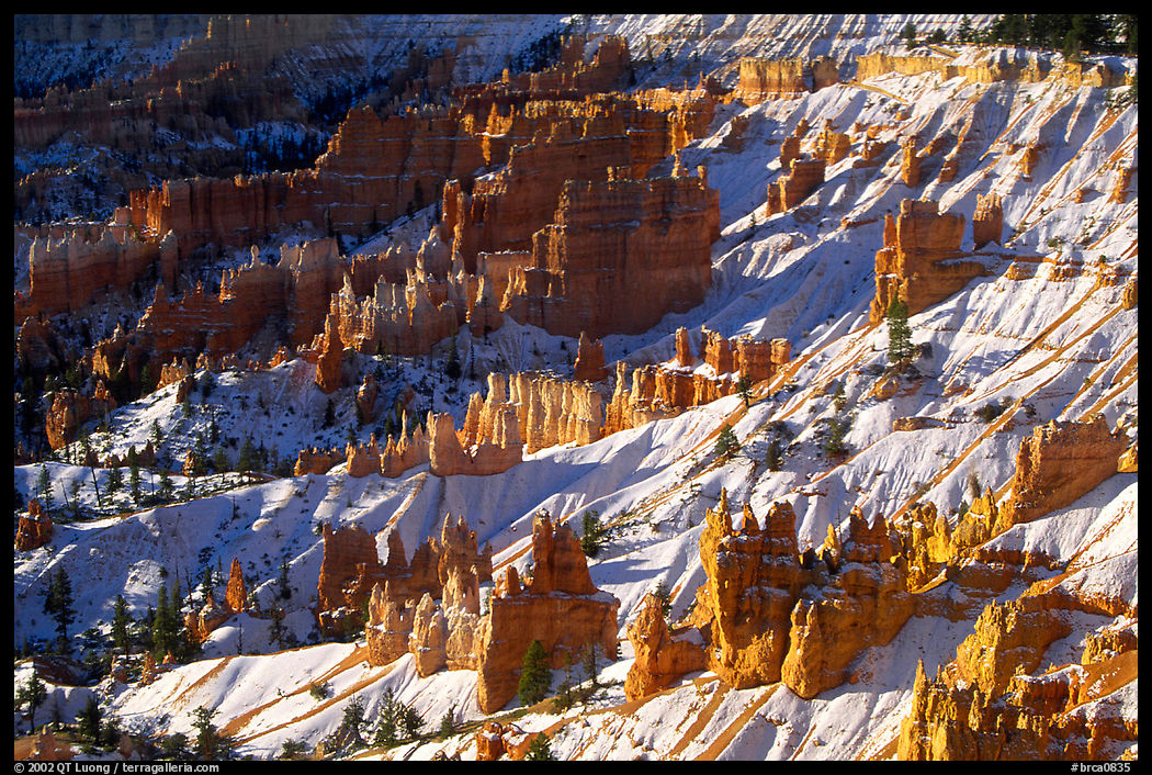 Hoodoos and snow in Bryce Amphitheater, early morning. Bryce Canyon National Park, Utah, USA.