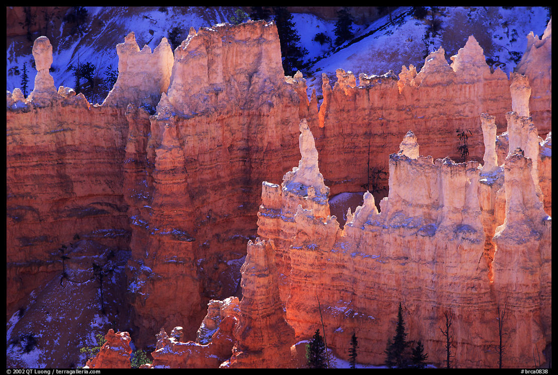 Backlit Hoodoos, mid-morning. Bryce Canyon National Park, Utah, USA.