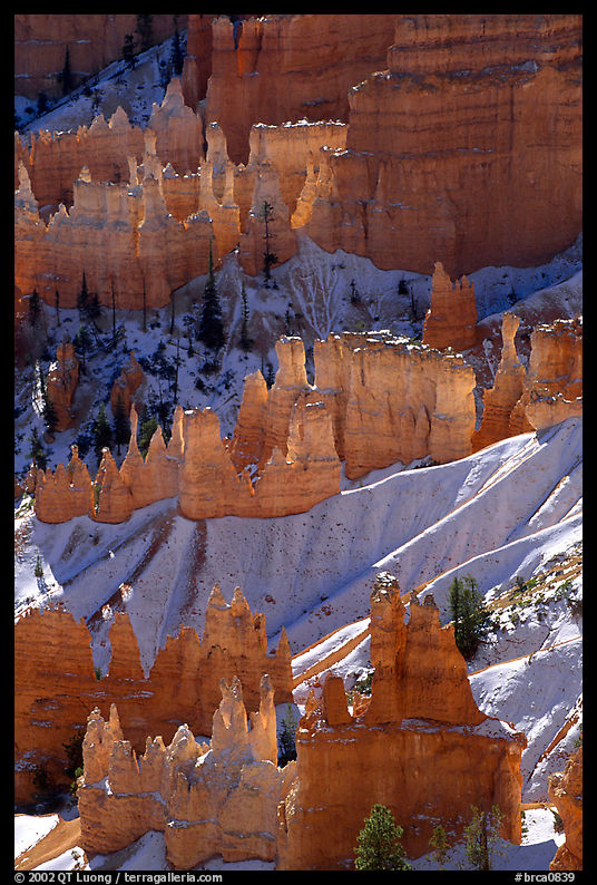 Snowy ridges and hoodoos, Bryce Amphitheater, early morning. Bryce Canyon National Park