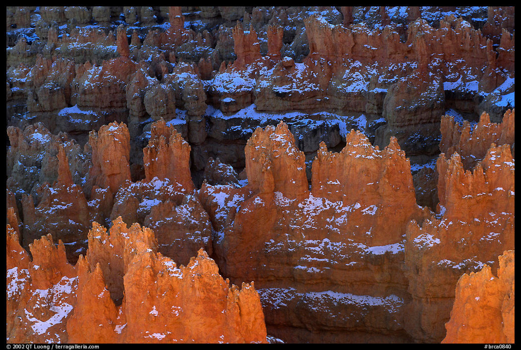 Glowing Hoodoos from Sunset Point, afternoon. Bryce Canyon National Park