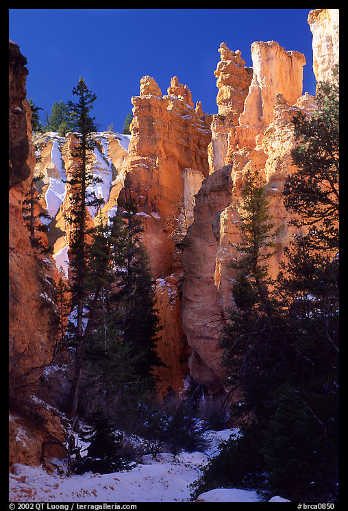 Hoodoos seen from  Queen's garden Trail. Bryce Canyon National Park