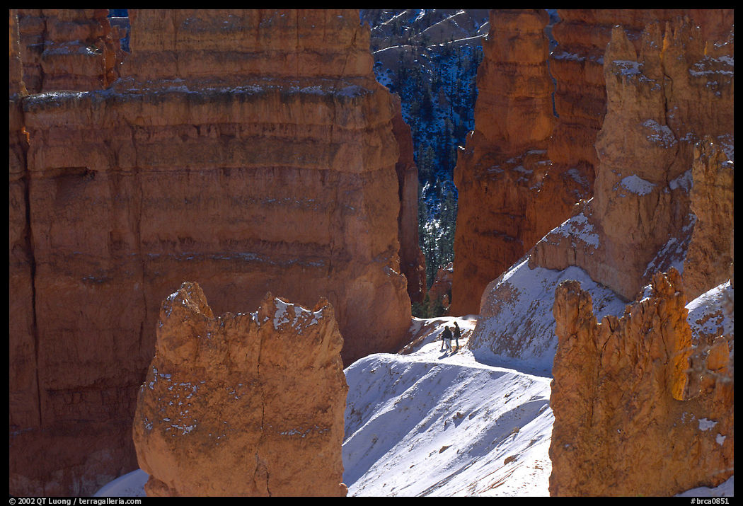 Navajo Trail in winter. Bryce Canyon National Park, Utah, USA.