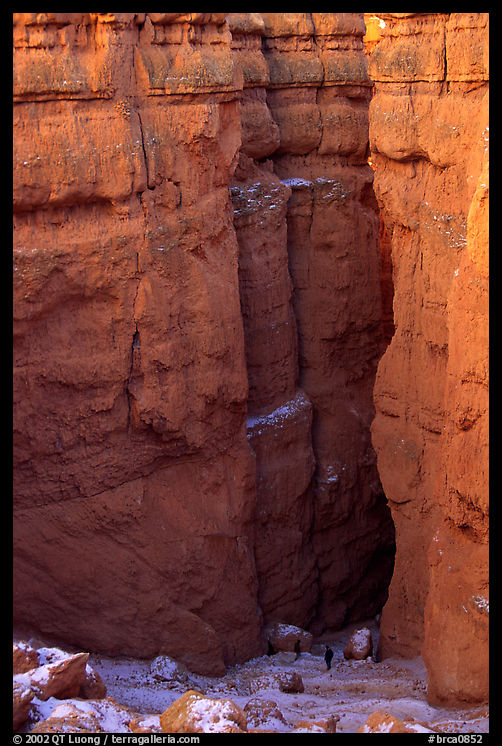 Navajo Trail descending between Hoodoos. Bryce Canyon National Park, Utah, USA.
