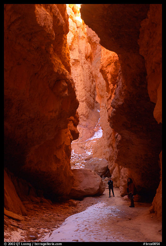 Hikers in Wall Street Gorge. Bryce Canyon National Park, Utah, USA.
