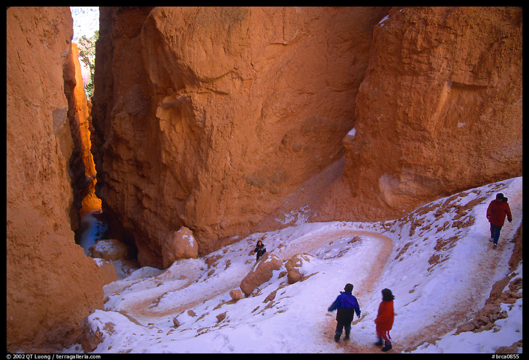 Hikers descending trail in Wall Street Gorge. Bryce Canyon National Park, Utah, USA.