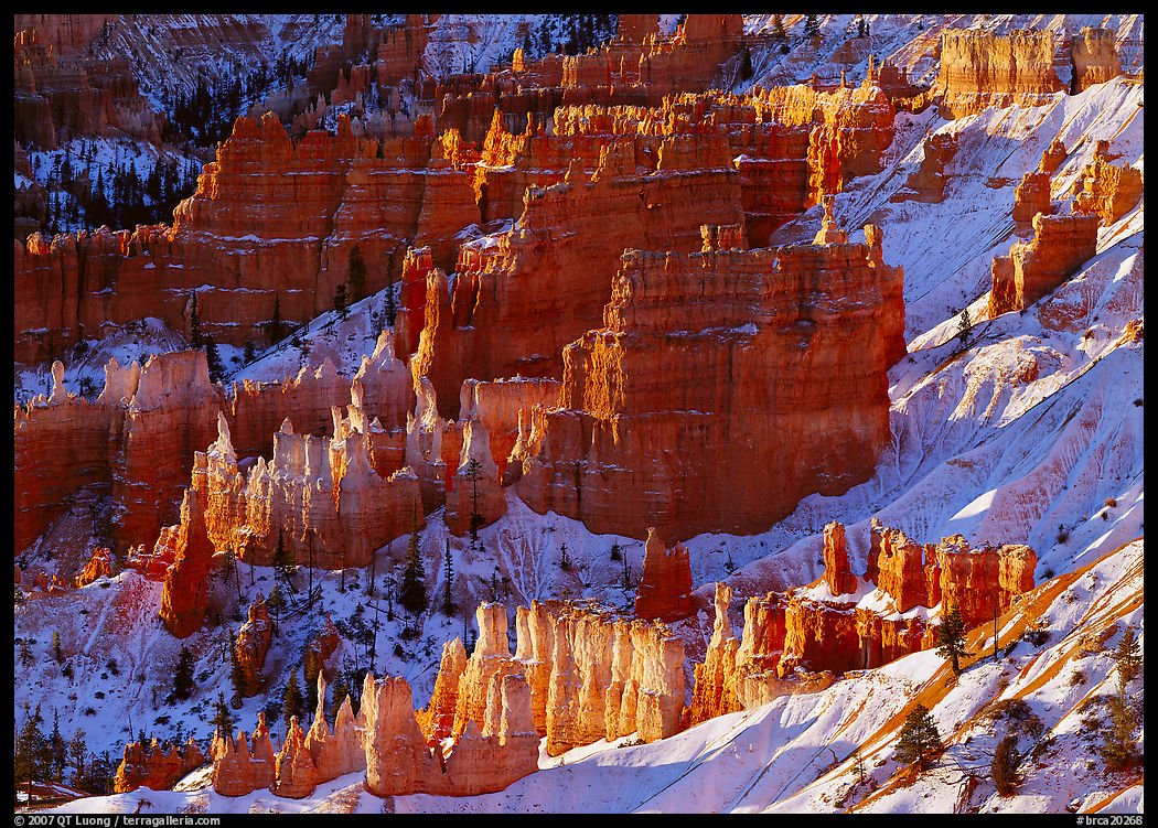 Rock spires and snow seen from Sunrise Point in winter, early morning. Bryce Canyon National Park