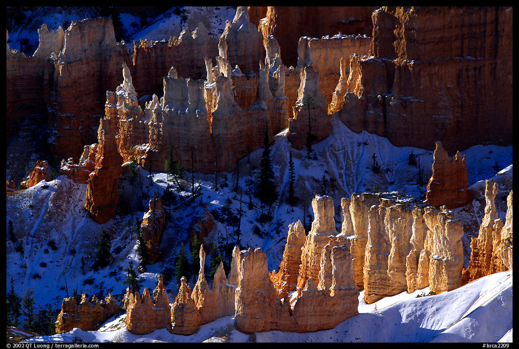 Hoodoos and shadows from Sunrise Point, early winter morning. Bryce Canyon National Park