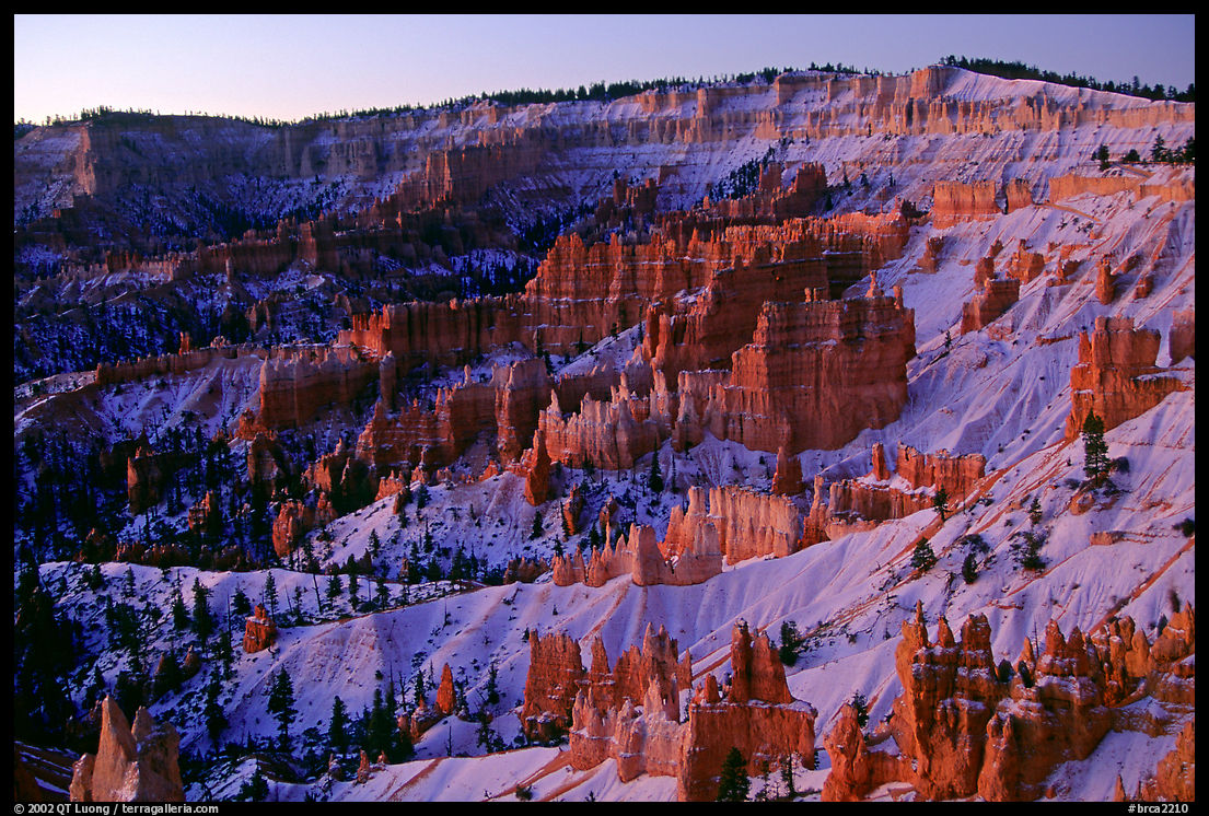 Bryce amphitheater from Sunrise Point, dawn. Bryce Canyon National Park, Utah, USA.