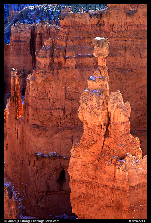 Thor's Hammer. Bryce Canyon National Park, Utah, USA.