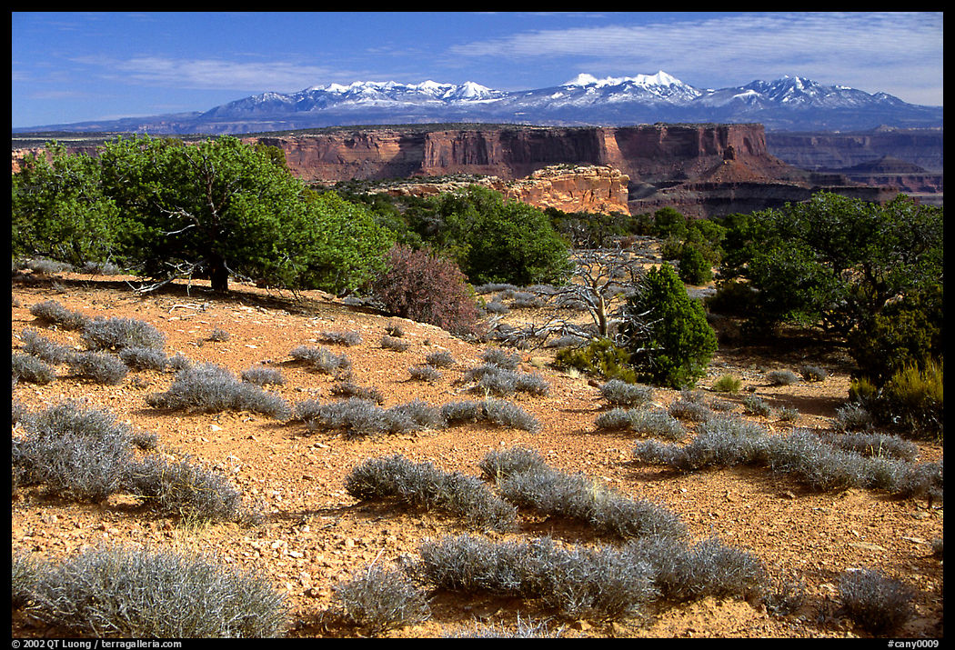 View with canyons and mountains, the Needles. Canyonlands National Park