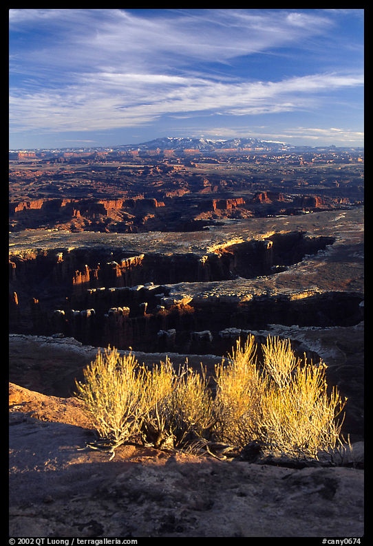 Monument Basin from Grand view point, Island in the sky. Canyonlands National Park, Utah, USA.