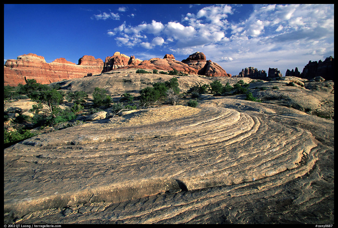 Circular sandstone striations near Elephant Hill, the Needles, late afternoon. Canyonlands National Park, Utah, USA.