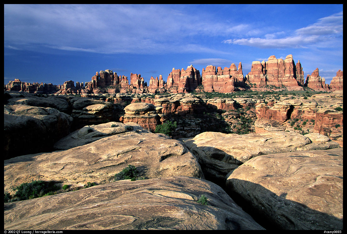 Needles near Elephant Hill, sunrise. Canyonlands National Park, Utah, USA.