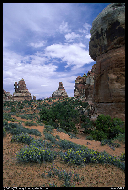 Sandstone towers, Chesler Park. Canyonlands National Park, Utah, USA.