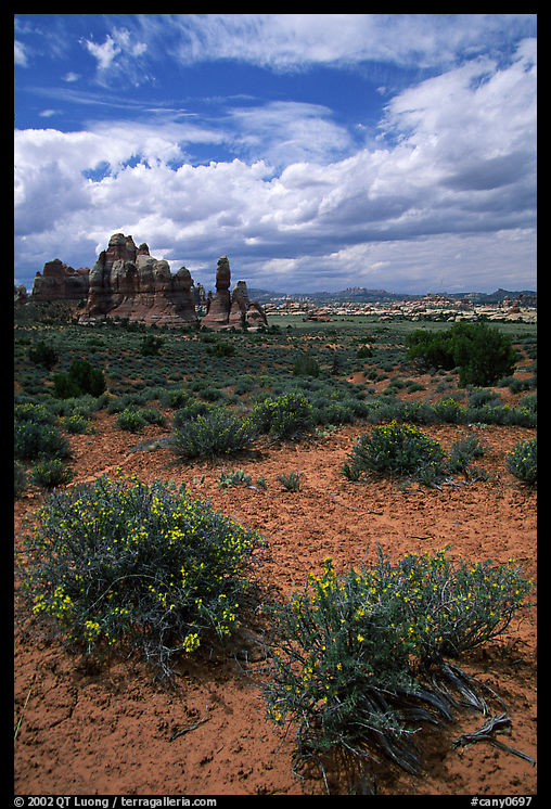 Sandstone towers in sandy flat basin, Chesler Park. Canyonlands National Park, Utah, USA.