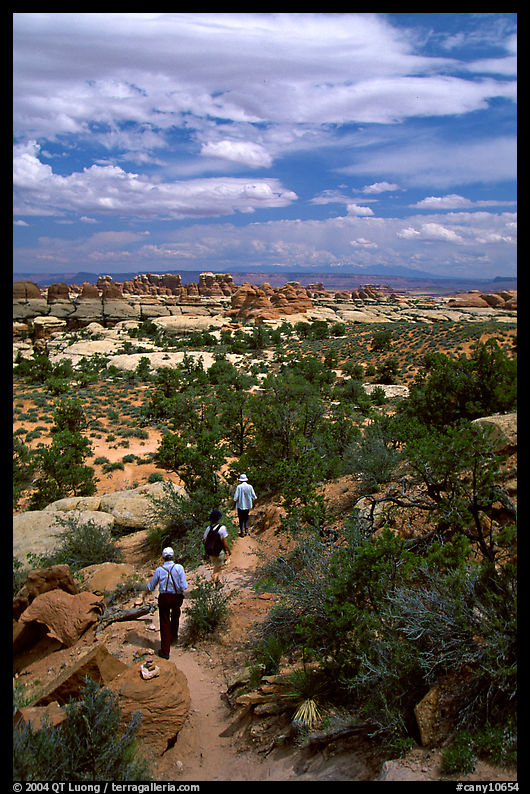 Hikers on the Chesler Park trail, the Needles. Canyonlands National Park, Utah, USA.
