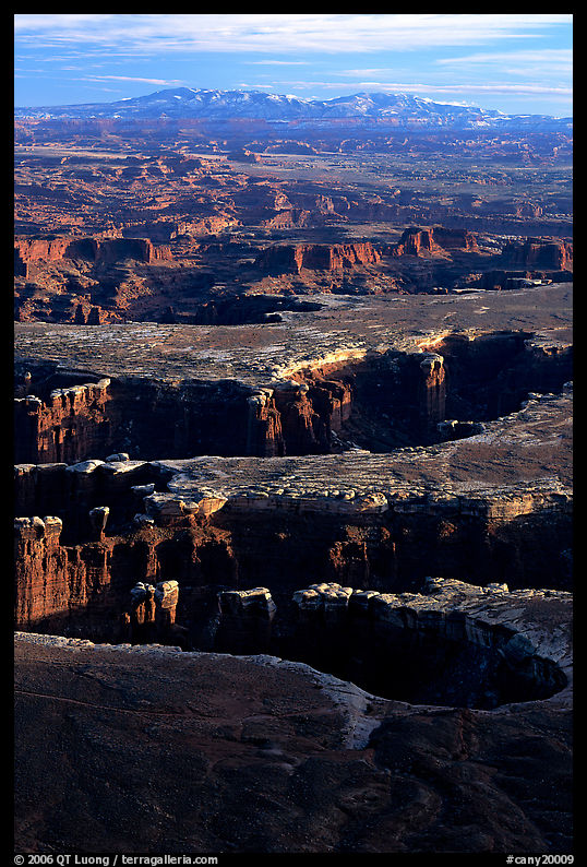 Monument basin from Grand View Point, Island in the Sky, late afternoon. Canyonlands National Park, Utah, USA.