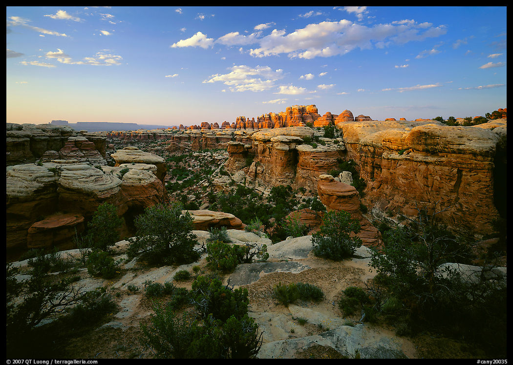 Canyon and Needles at sunset, the Needles. Canyonlands National Park, Utah, USA.